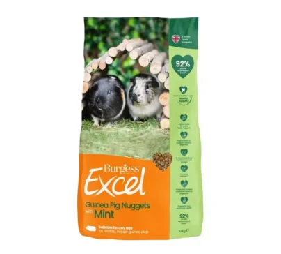 Burgess Excel Tasty Nuggets with Mint Adult Guinea Pig Food